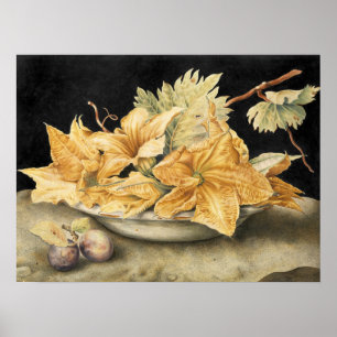 Garzoni - Stillleben mit Kürbisblumen und Rebe Poster