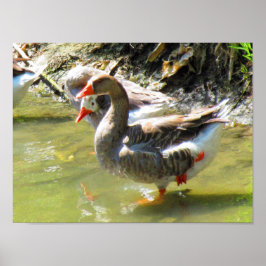 Gase sind flexibel poster