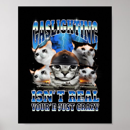 Gaslighting Isn't Real Funny Cat Meme Bootleg Poster (Vorne)