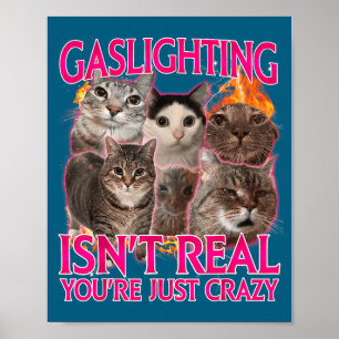 Gaslighting ist nicht real, du bist einfach verrüc poster