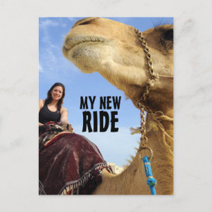 GASOLINE ZU KOSTENGÜNSTIGE NEUE RIDECAMEL-POSTKART POSTKARTE