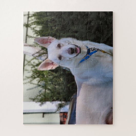 Gast Puzzle (Vertikal)