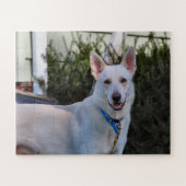 Gast Puzzle (Horizontal)