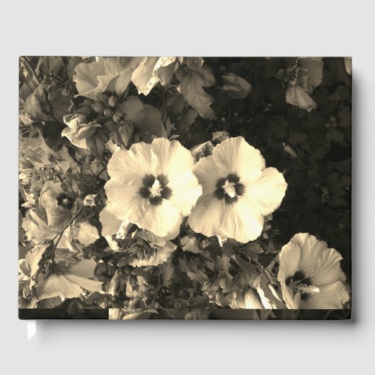 Gästebuch (Vorderseite)