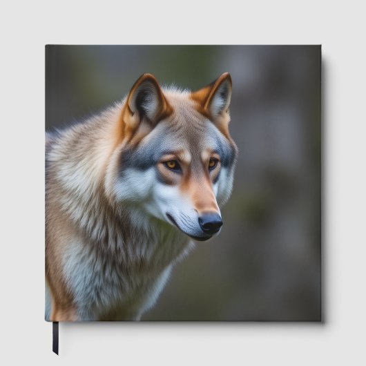 Gästebuch (Vorderseite)