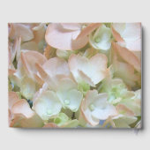Gästebuch - Peach Hydrangea (Rückseite)