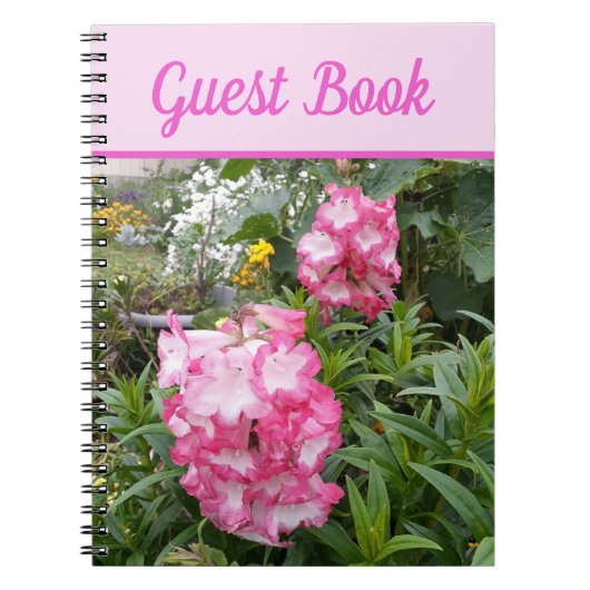 Gästebuch Penstemon Schöne rosa Blume Notizblock (Vorderseite)
