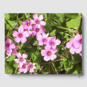 Gästebuch - Rosa blühende Kleeblätter (Rückseite)