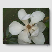 Gästebuch - Süd Magnolien I und II (Rückseite)