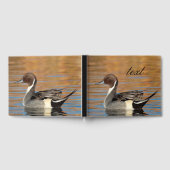 Gästebuch von Male Northern Pintail (Voll)