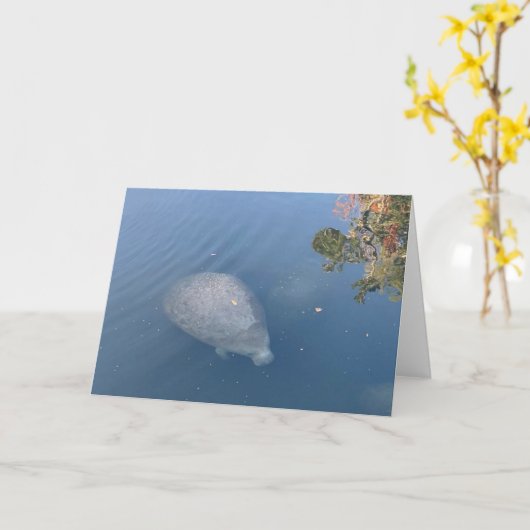 Gästekarte Nr. 1 (innen leer) Karte (Gelbe Blume)