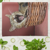 Gästeküche Katze Küchentuch (Gefaltet)