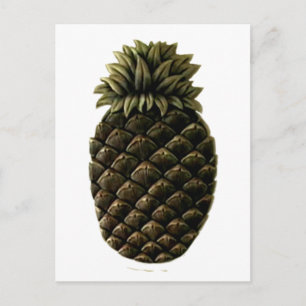 Gastfreundschaft Ananas 2 Das MUSEUM Zazzle Gesche Postkarte