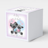 Gastgeschenk für das Silver Lamb Baby Gender Revea Geschenkschachtel (Vorderseite)