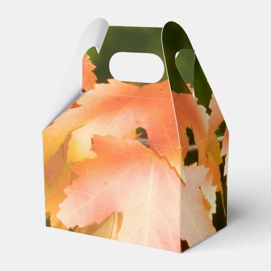 Gastgeschenk Herbstfarbe Geschenkschachtel (Rückseite)