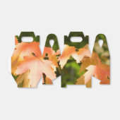 Gastgeschenk Herbstfarbe Geschenkschachtel (Ungefaltet)