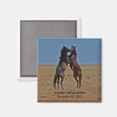 Gastgeschenk zum Tanzpferd Magnet (Vorderseite/Rückseite)