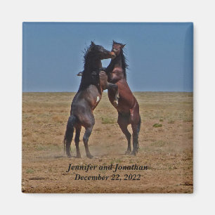 Gastgeschenk zum Tanzpferd Magnet