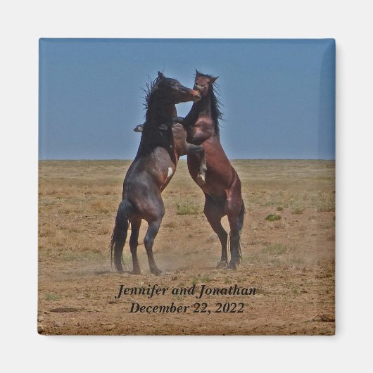 Gastgeschenk zum Tanzpferd Magnet (Vorne)