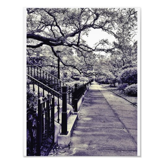 Gaston Street Fotodruck (Vorne)