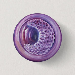 Gastrula Button