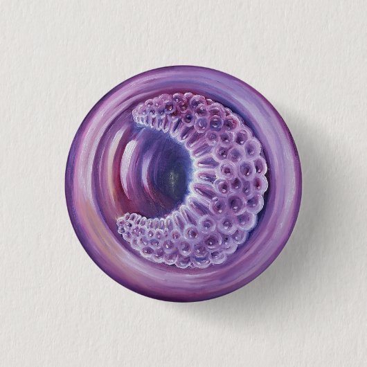Gastrula Button (Vorderseite)