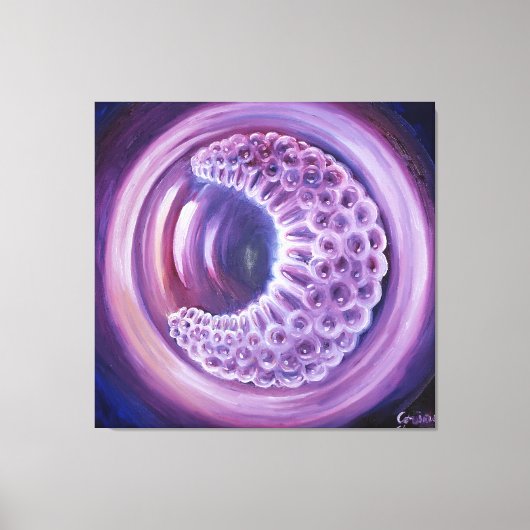 Gastrula Leinwanddruck (Vorderseite)