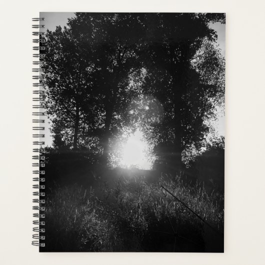 Gate to heaven  planer (Vorderseite)