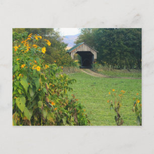 Gates Farm Covered Bridge Sunflowers Cambridge VT Postkarte