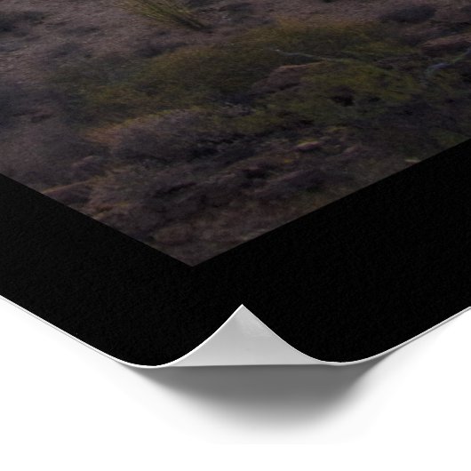 Gates Pass Poster (Ecke)