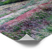 Gateway Rocks Garden of the Gods Poster (Ecke)