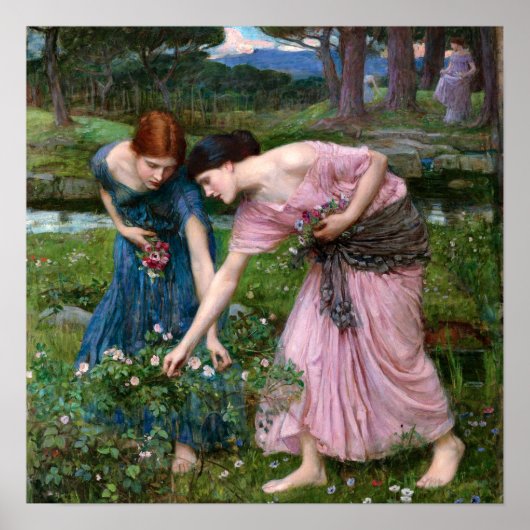 Gather Ye Rosebuds by John William Waterhouse Poster (Vorne)