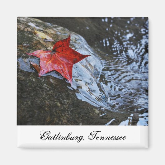 Gatlinburg Leaf Magnet (Vorne)