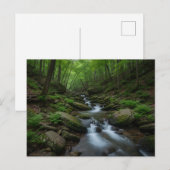 Gatlinburg , Tennessee Forest waterfall Postkarte (Vorne/Hinten)