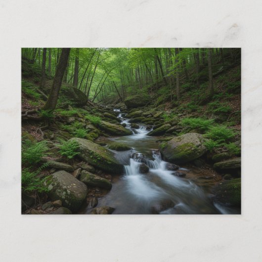 Gatlinburg , Tennessee Forest waterfall Postkarte (Vorderseite)