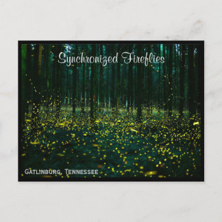 Gatlinburg Tennessee Postcard TN Postkarte