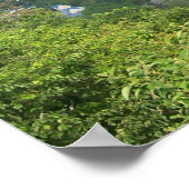 GATLINBURG, TENNESSEE POSTER (Ecke)