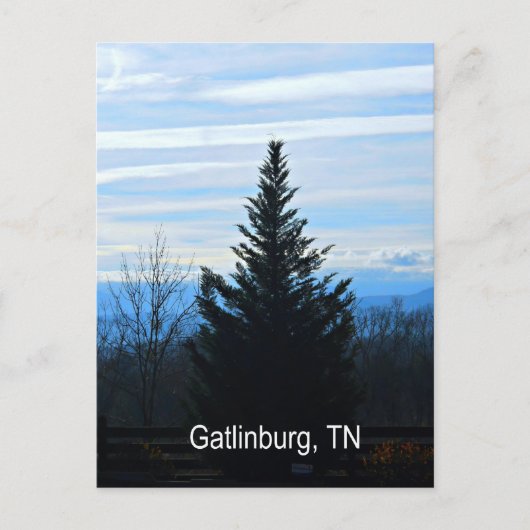 Gatlinburg, Tennessee Postkarte (Vorderseite)
