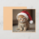 Gato fofo em noite de Natal. Einladung (Vorne/Hinten)