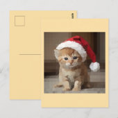 Gato fofo em noite de Natal. Postkarte (Vorne/Hinten)
