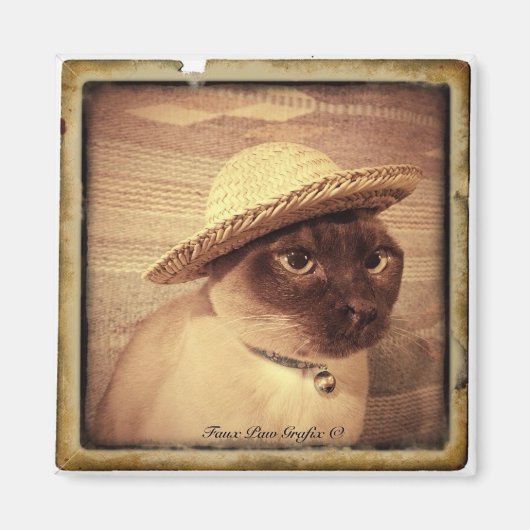 Gato/Tonkinese Magnet (Vorne)