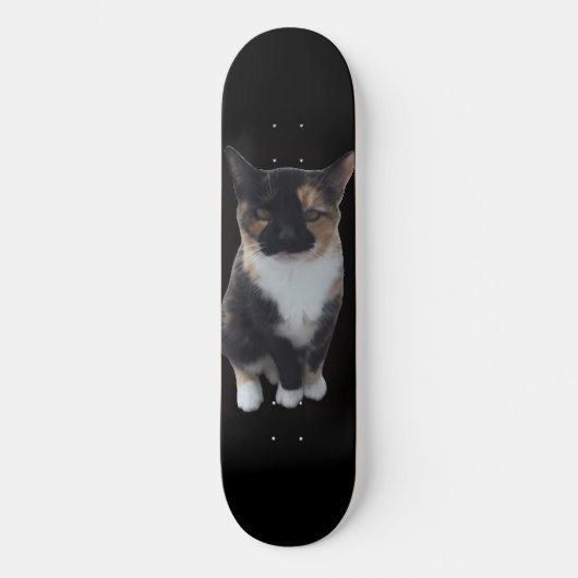 GatoDisapproves Skateboard (Vorderseite)