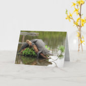 Gator 0076 Grußkarte Karte (Gelbe Blume)