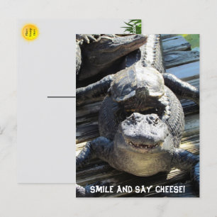 Gator and Turtle - Florida Tourist Postkarte