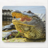 Gator. Angesicht Mousepad (Vorne)