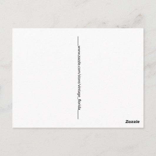 Gator Beach Postcard Postkarte (Rückseite)