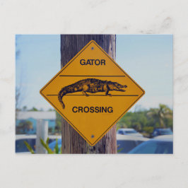 Gator Crossing Sign, Florida Foto Print Postkarte