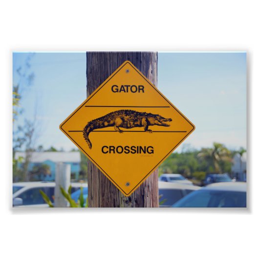 Gator Crossing Sign, Florida Fotodruck (Vorne)
