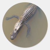 Gator Floating Runder Aufkleber (Vorderseite)