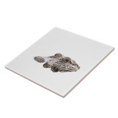 Gator Foto Tile Fliese (Seite)
